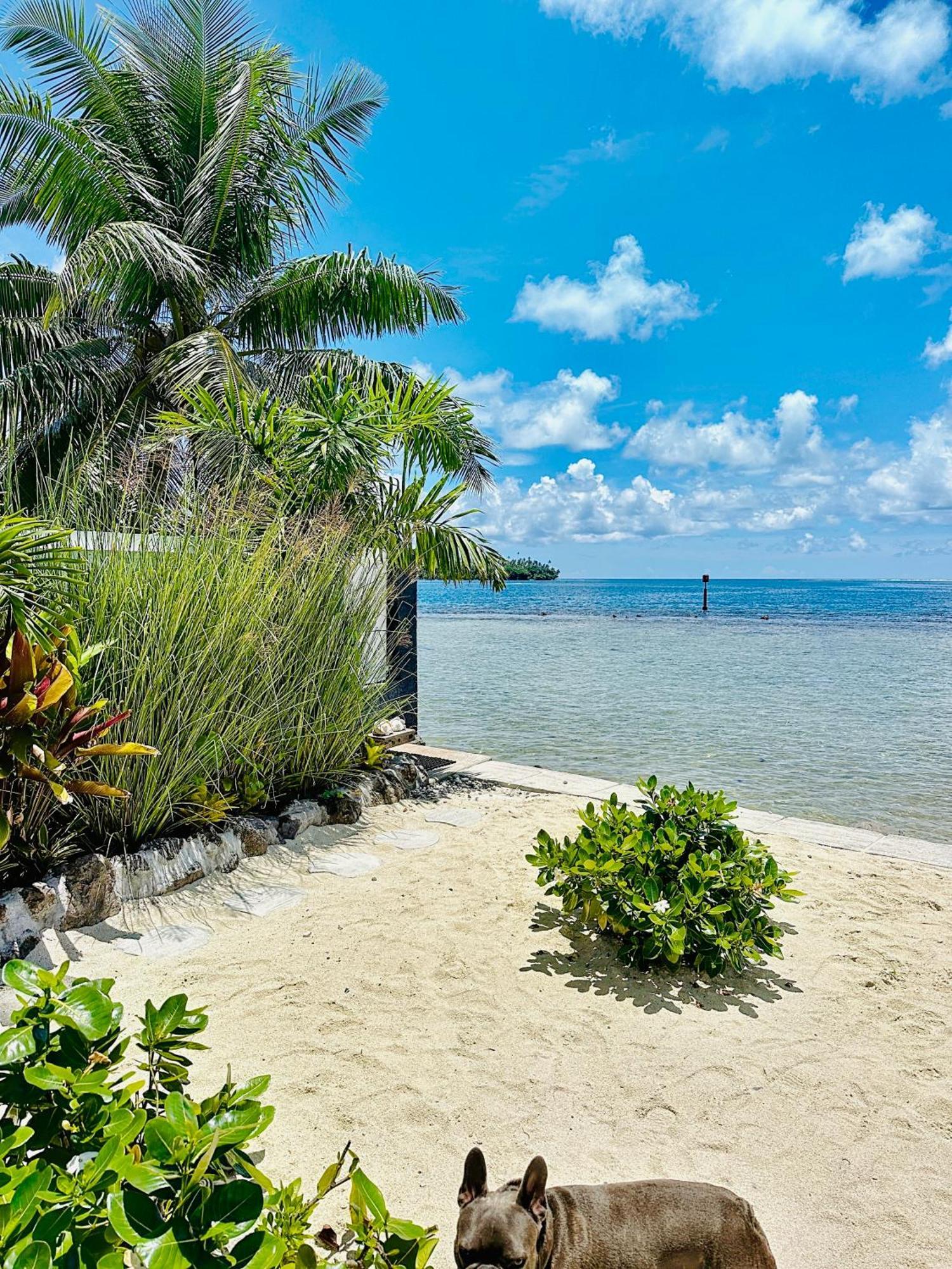 Pension Irivai, Appartement Uo Uo 3 Chambres Vue Mer Uturoa Exterior photo