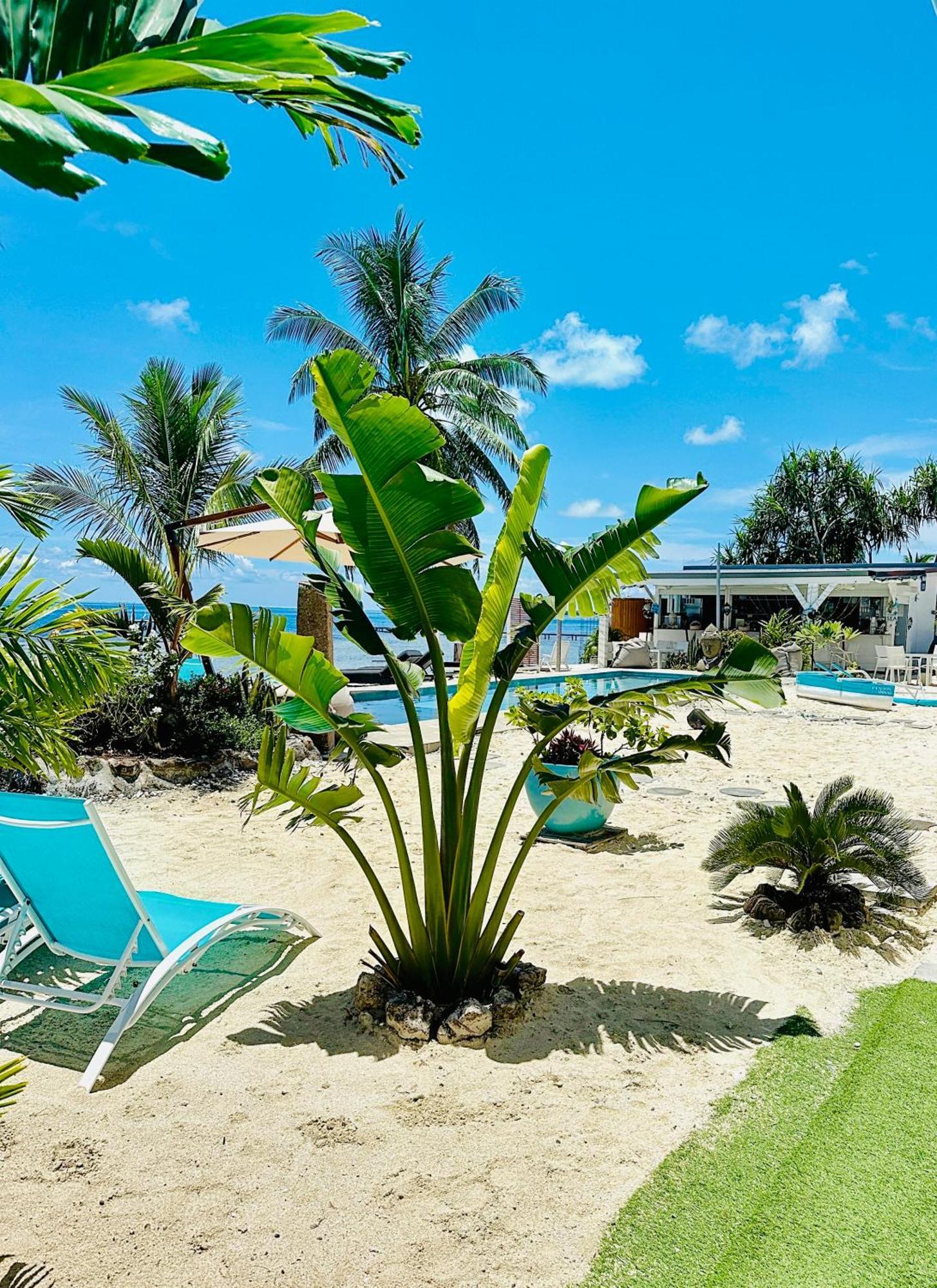 Pension Irivai, Appartement Uo Uo 3 Chambres Vue Mer Uturoa Exterior photo